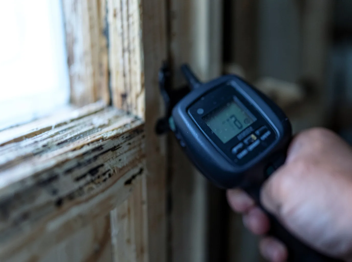 Moisture Inspection And Documentation in Raymondville, TX